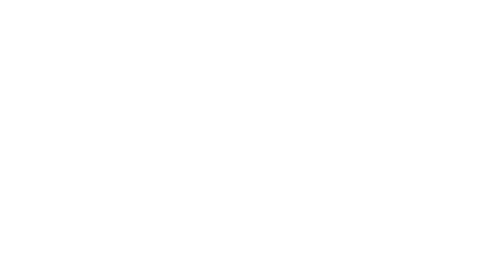 Logo AMBULANCE NATIONALE & AMBULANCE DENFERT